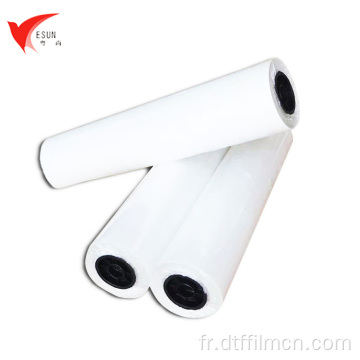 Roll Up Display 75um Pet Film Double Side Matte DTF Film Roll